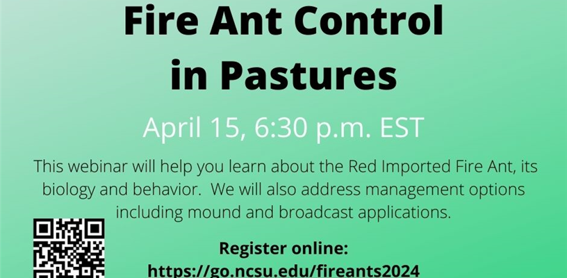 Fire Ants in Pastures