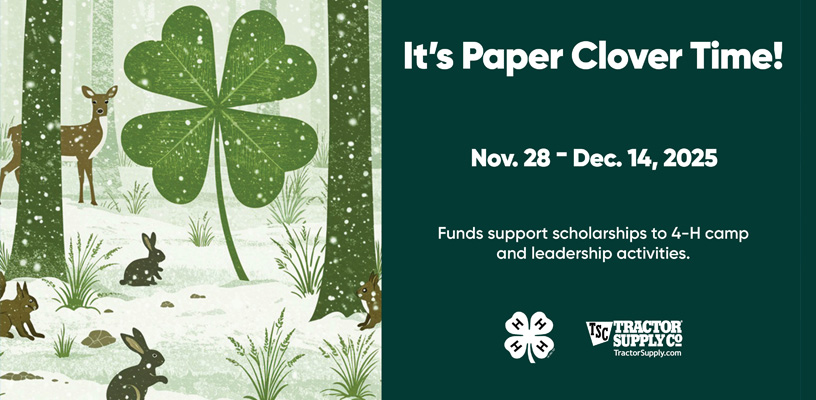 Winter 4-H Paper Clover Campaign