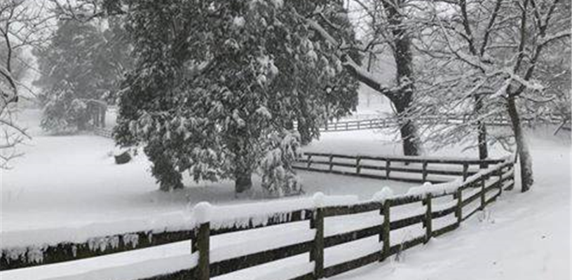 Forsyth County facilities open at 10 a.m. Jan. 27, some parks remain closed