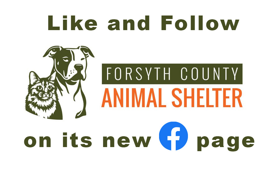 Forsyth County Animal Shelter